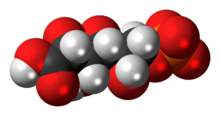 Space-filling model of the 6-phosphogluconic acid anion