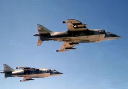 Two Harriers flying