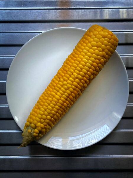 File:Boiled corn on a white plate.jpg