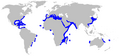 Sandbar shark geographic range
