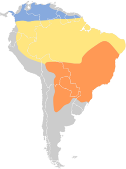 Chaetura meridionalis map.svg