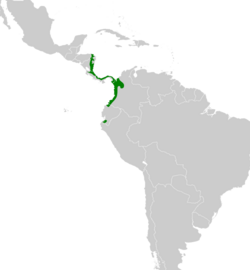 Chalybura urochrysia map.svg