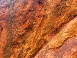 Close up of red rock in the Red Rocks Park, Morrison, Colorado.jpg