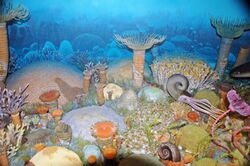 Diorama of a Devonian seafloor - corals, coiled cephalopod, gastropod, crinoids (44933262614).jpg