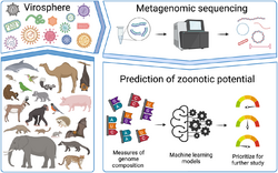 Genomic signatures for predicting the zoonotic potential of novel viruses (graphical summary).png