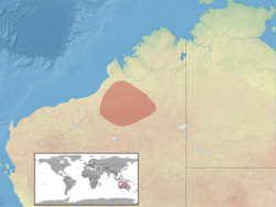 Lerista vermicularis distribution.png