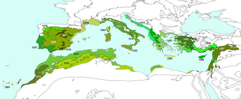 File:Mediterranean forests, woodlands, and scrub (Palearctic).svg