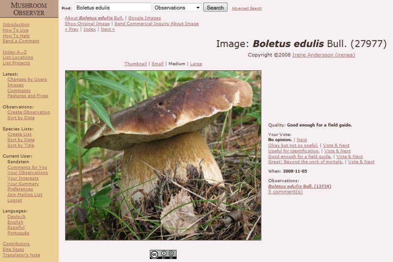 File:Mushroom Observer screenshot.PNG