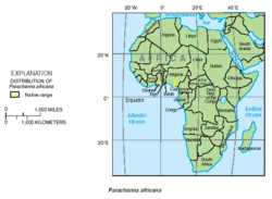 Parachanna africana distribution.gif