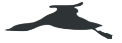 diagram of silhouette of red-throated loon in flight
