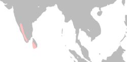 Sri Lanka Bay Owl (phodilus assimilis) distribution (reduced).svg