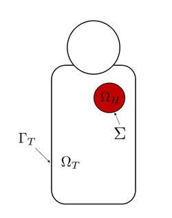 Torso domain for the forward problem of electrocardiography.png
