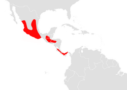 Artibeus aztecus map.png