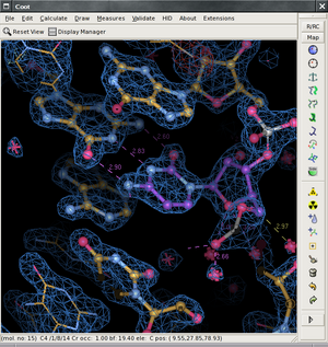 Coot-crystallography-software.png