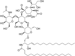 GM2 ganglioside.png