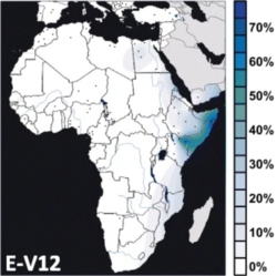 Geographical frequency distribution of Haplogroup E-V12 (Y-DNA).png