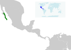 Geothlypis beldingi map.svg
