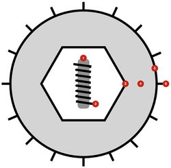 Herpesvirales virion diagram.jpg