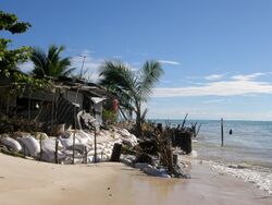 Household experiencing coastal erosion on South Tarawa.JPG