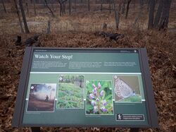 Large brown sign with pictures of blue butterflies next to a trail through oak savanna