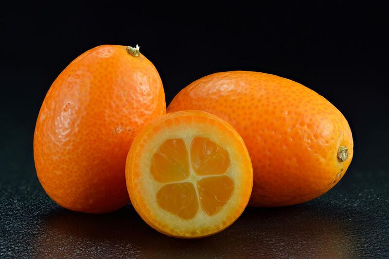 File:Kumquat from Spain.jpg