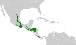 Lepidocolaptes affinis map.svg