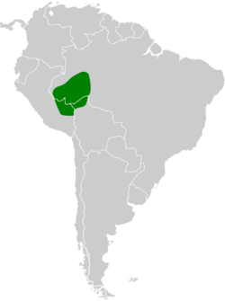 Malacoptila semicincta map.svg