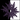 Purple-black spore print icon.png