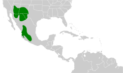 Sturnella lilianae map.svg