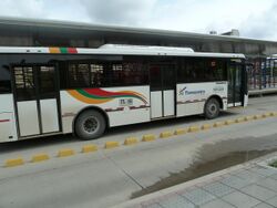 Transmetro bus 2010-07-15.jpg