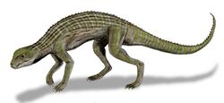 Adamantinasuchus BW.jpg