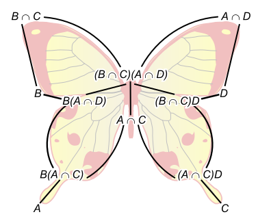 File:Butterfly lemma.svg