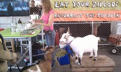 Goats and cheesemaking workshop, Maker Faire 2011.jpg