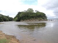 Ilha no Rio Tocantins em São João do Araguaia.JPG