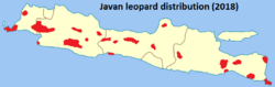 Javan leopard distribution.png