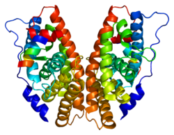 Protein ESRRG PDB 1kv6.png