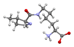 Pyrrolysine-from-PDB-3D-bs-17.png