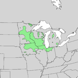 Quercus ellipsoidalis range map 1.png