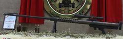 Shaher (Iranian sniper rifle)01.jpg