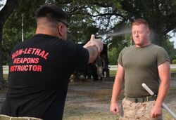 Sprayed in the face with Oleoresin Capsicum before undergoing the OC spray certification course being held aboard the Marine Corps Base Camp.jpg