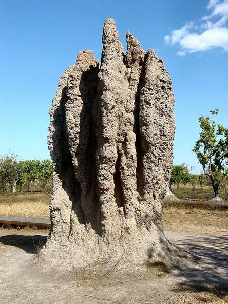 File:Termite Cathedral DSC03570.jpg