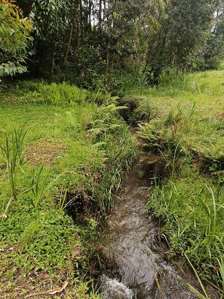 File:A stream in Meru County Kenya.jpg