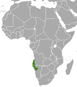 Angolan Slender Mongoose area.png
