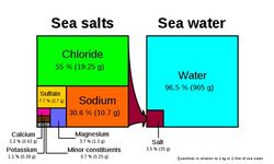 Composition of seawater.jpg