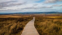 Cuilcagh, Fermanagh - 33762156926.jpg