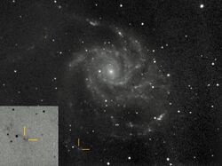 Discovery Image of Luminous Red Nova in M101.jpg