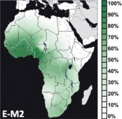 Geographical frequency distribution of Haplogroup E-M2 (Y-DNA).png