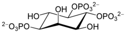 Inositol 1,4,5-trisphosphate.svg