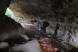 Inside Oparara Arch.jpg