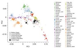 Modern and Ancient populations PCA plot.jpg